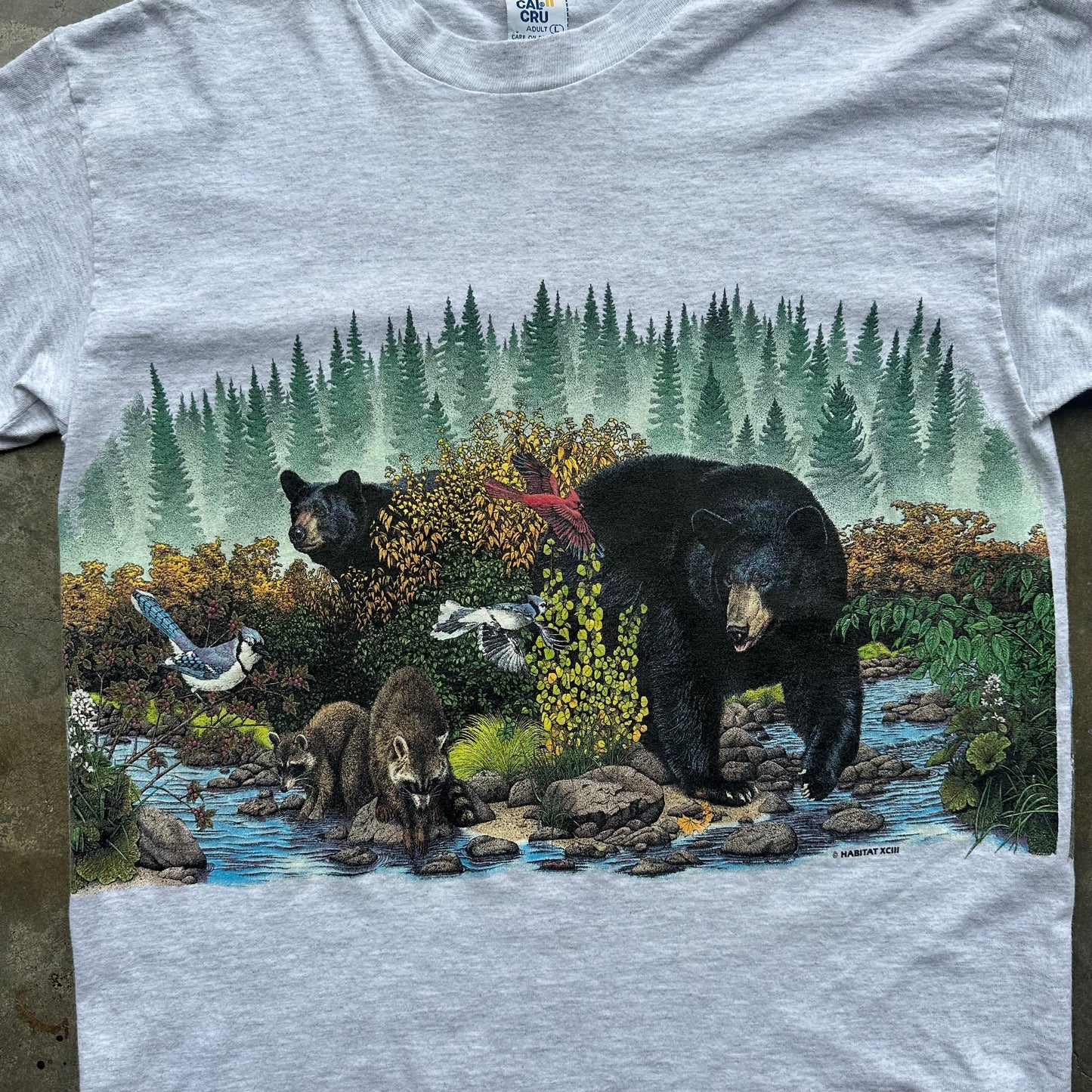 Vintage Bear Nature Indian River T Shirt - Large