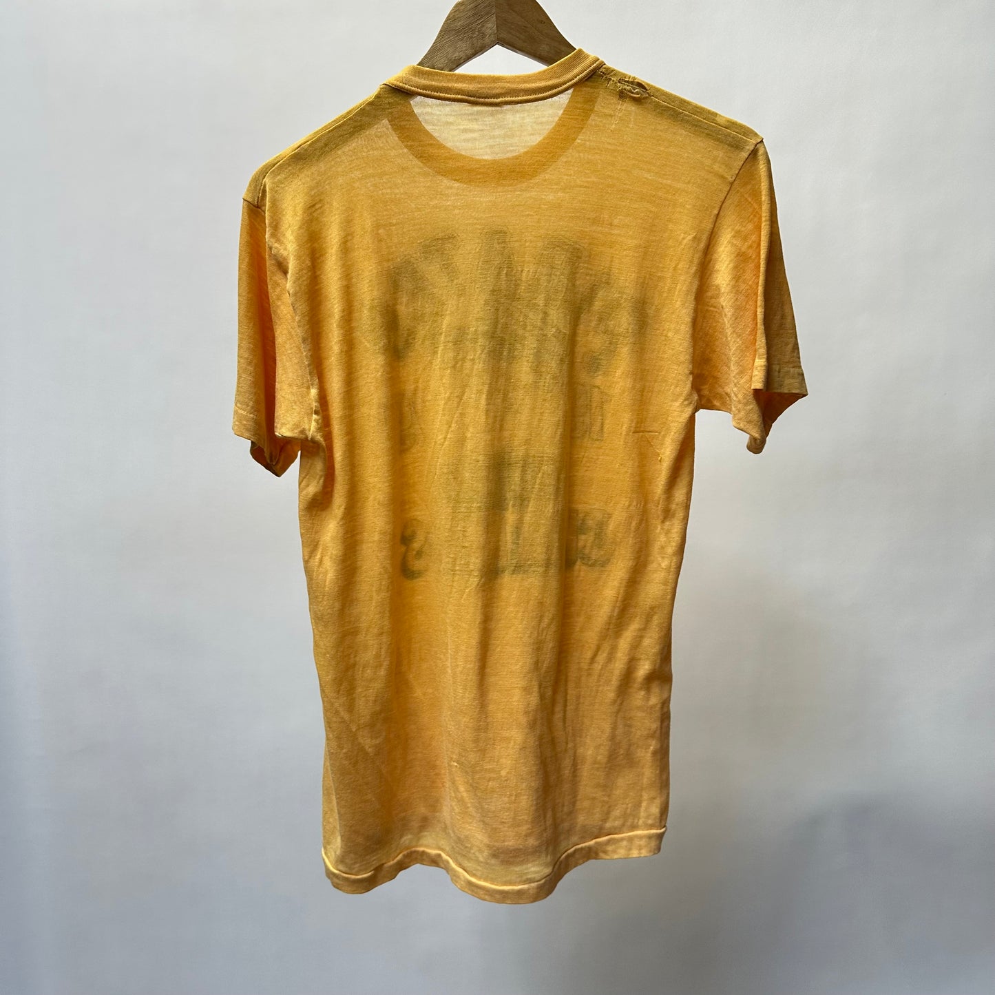 Vintage 1979 Pirates World Champs T Shirt